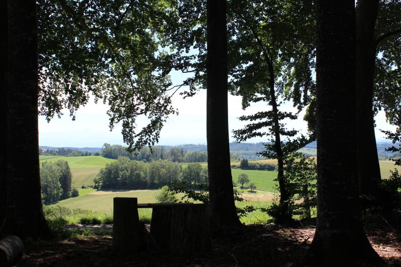 Ferienwohnung Zum Hohlenstein เดกเกนเฮาเซอทาล ภายนอก รูปภาพ