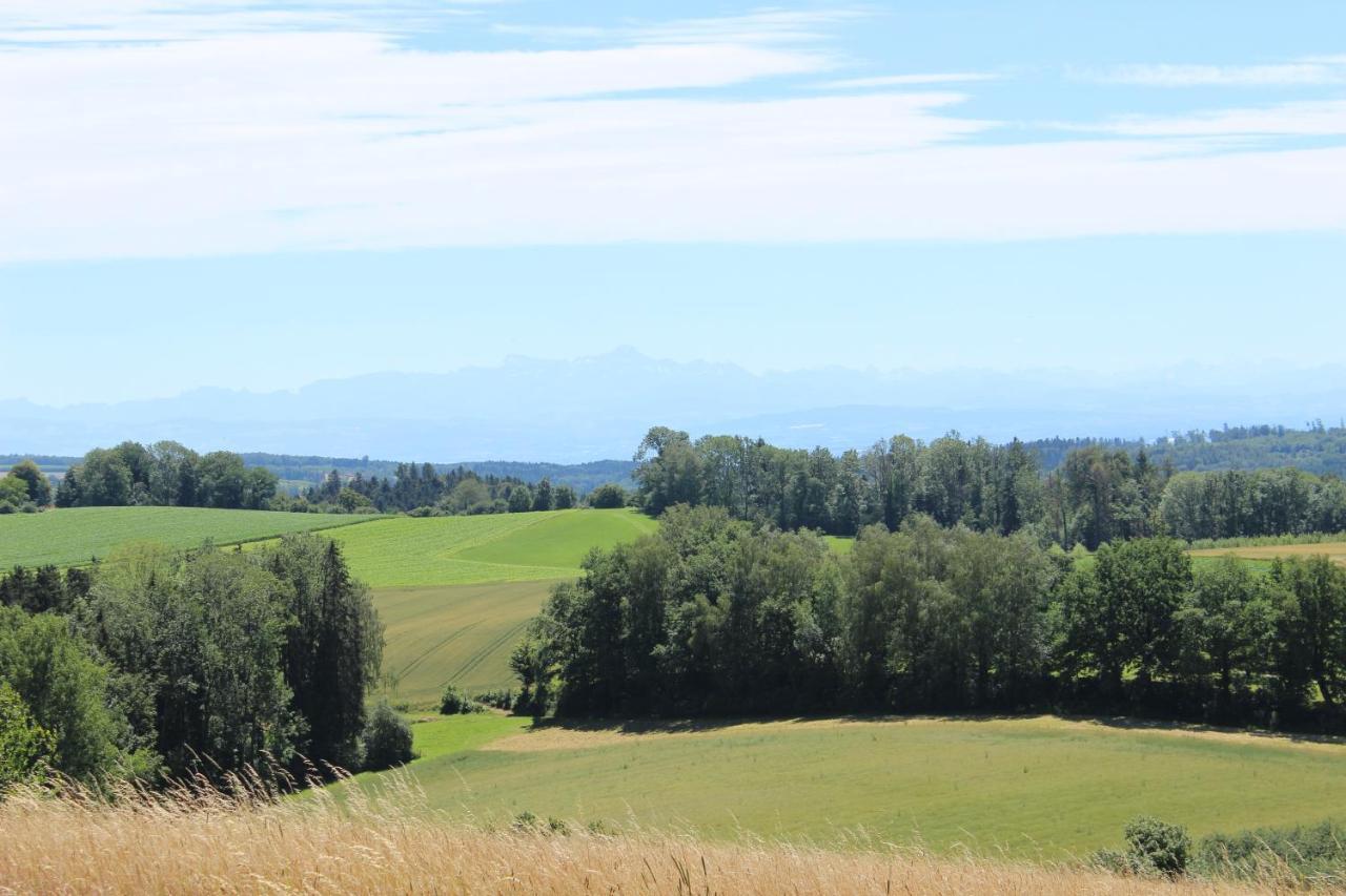 Ferienwohnung Zum Hohlenstein เดกเกนเฮาเซอทาล ภายนอก รูปภาพ